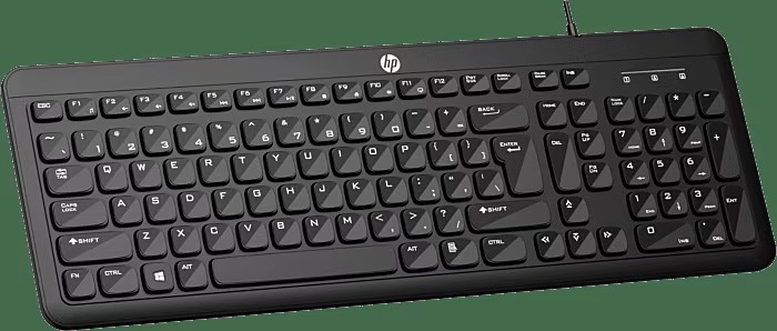 HP K160 Wired Keyboard